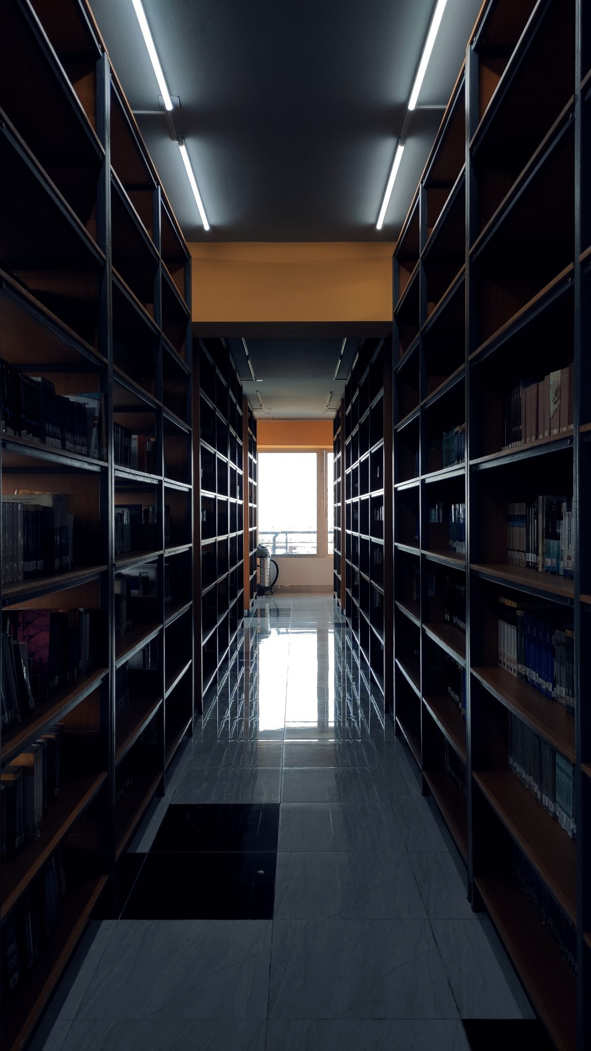 Un pasillo entre dos estanterias altas de biblioteca, con luz al fondo.