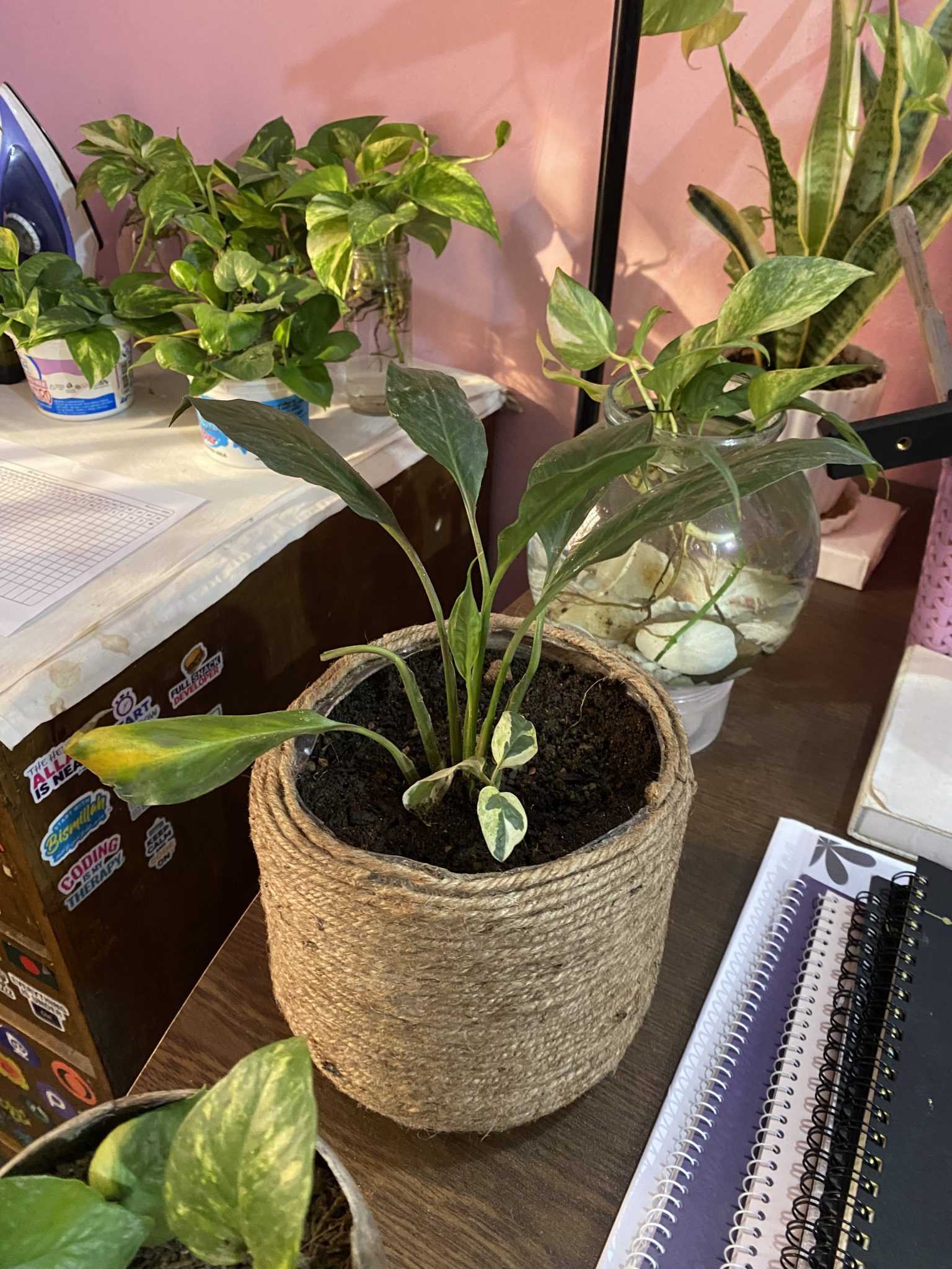Una planta en una cesta de mimbre sobre un escritorio, rodeada de cuadernos.